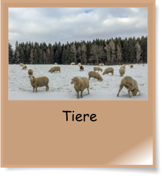 Tiere
