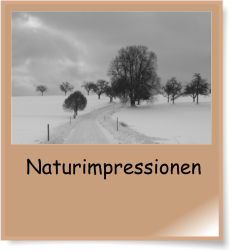 Naturimpressionen